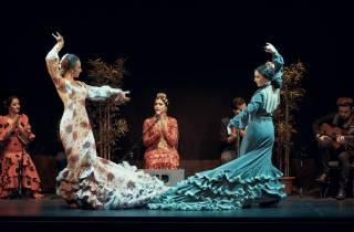 Barcelona: Flamenco-Theater – Tickets in Bereich C