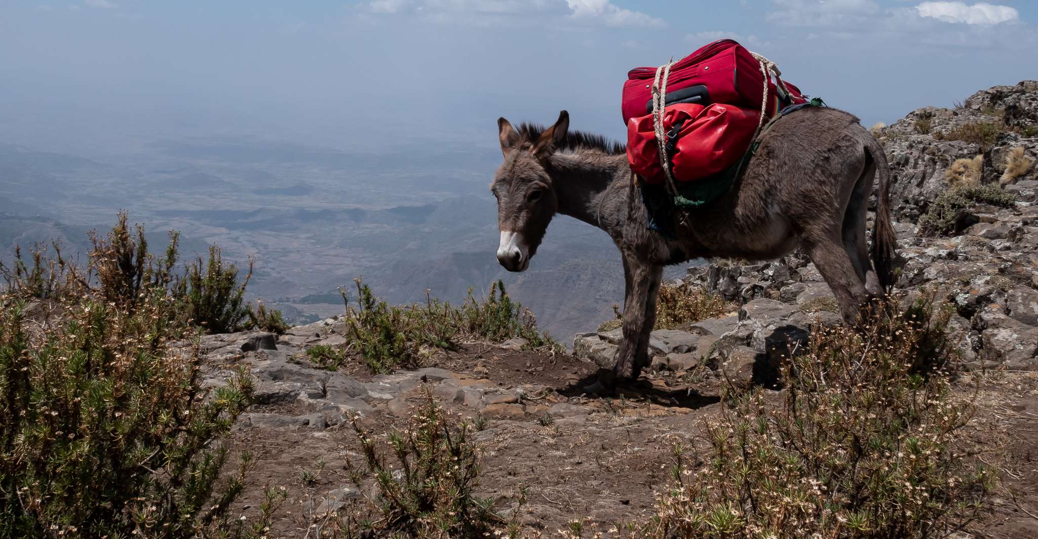 From Lalibela, 3-Day Trekking Tour & Village Homestay - Housity