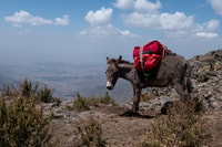 Von Lalibela, 3-tägiger Trekking-Tour und Dorf Homestay - Housity