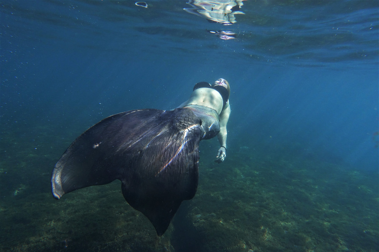 Radazul: Sjöjungfruupplevelse och fotograferingRadazul: Mermaid Experience och fotografering