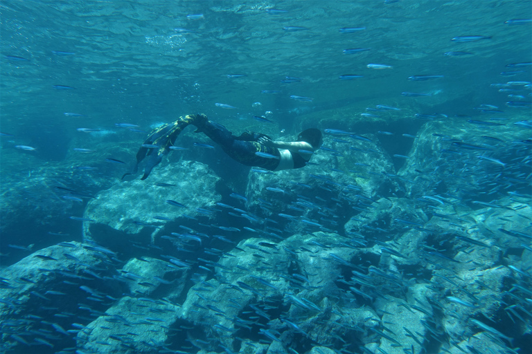 Santa Cruz de Tenerife: Experiencia Sirena y Sesión de Fotos