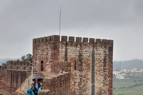 Depuis Albufeira : Visite privée du château de Silves avec dégustation de vinDepuis Armação ou Albufeira : visite privée de la ville de Silves avec vin.