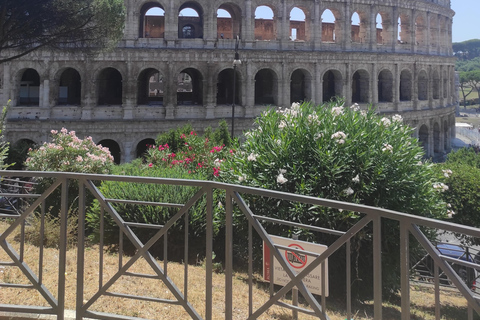 Rome: visite privée d'une demi-journée de la ville avec pizza et gelato