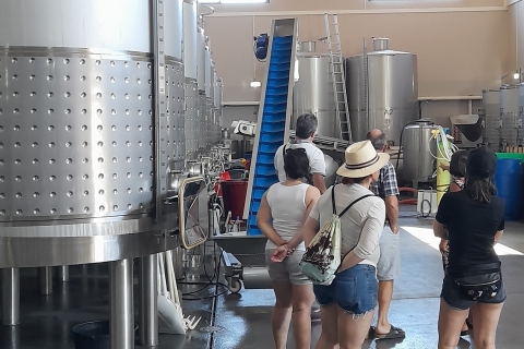 Z Albufeiry: Prywatna wycieczka po zamku Silves ze smakiem winaZ Armação lub Albufeiry: Prywatna wycieczka po mieście Silves z winem