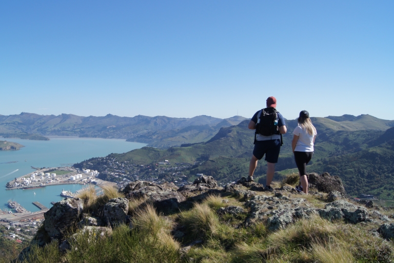Christchurch: paseo guiado del borde del cráter en la península de BanksAscienda de categoría a Paseo privado de lujo por el cráter