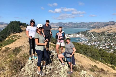 Christchurch: Promenade guidée au bord du cratère dans la péninsule de Banks