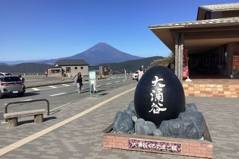 Da Tokyo e Yokohama: gita giornaliera privata al Monte Fuji e Hakone