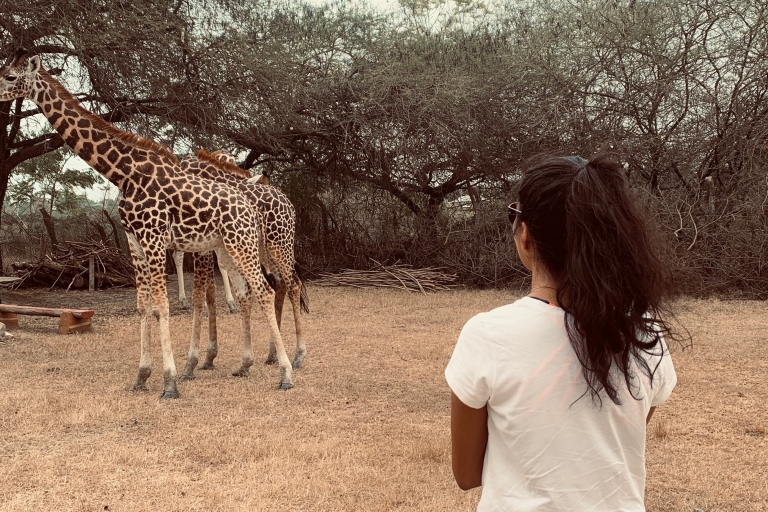 Mombasa : Promenade guidée dans la nature au milieu des girafes
