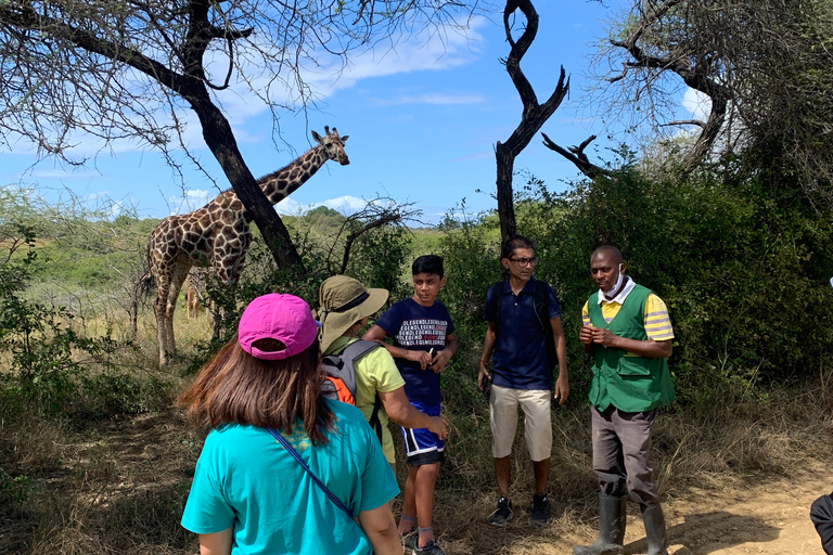 Mombasa: begeleide natuurwandeling tussen giraffen