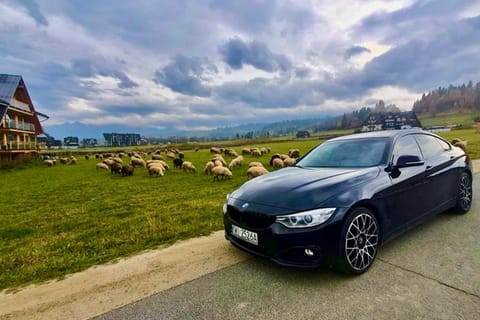 Krakow: Private One-Way Transfer to/from Zakopane