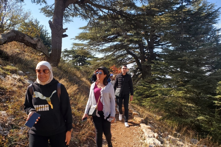 Beiroet: Shouf Cedars & Beiteddine Palace Dagtrip met lunchPrivétour Libanon: Beiroet naar Cedars & Beiteddine met lunch