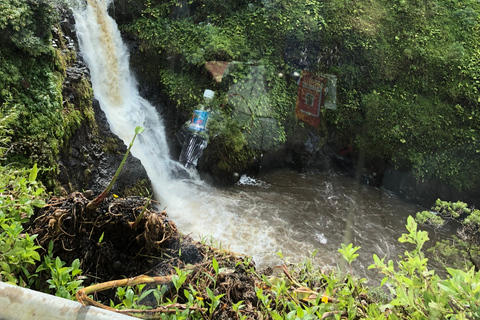 From Lahaina, Maui: Road to Hana Tour