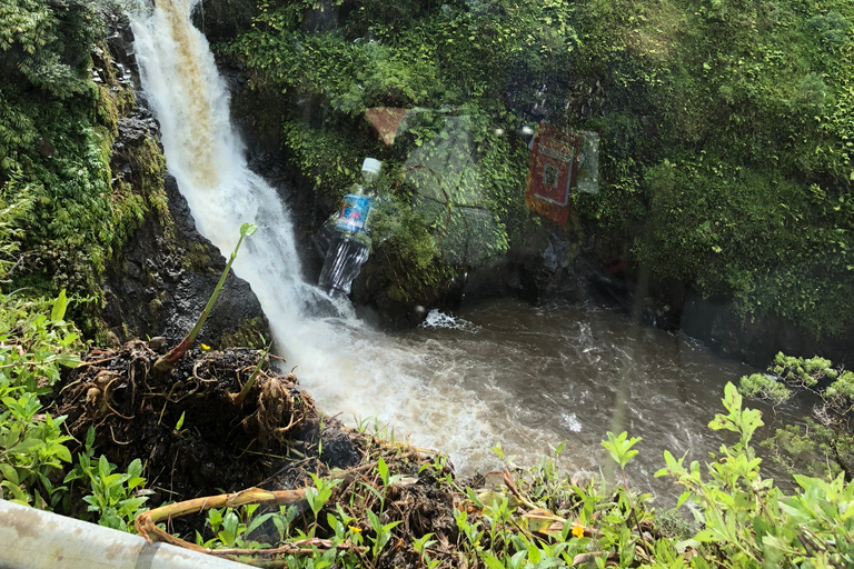 From Lahaina, Maui: Road to Hana Tour