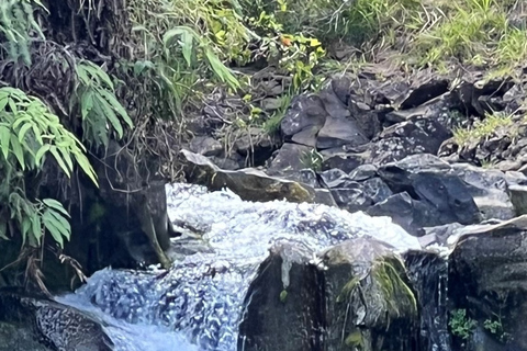 From Lahaina, Maui: Road to Hana Tour