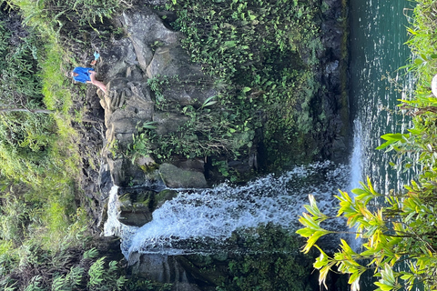 From Lahaina, Maui: Road to Hana Tour