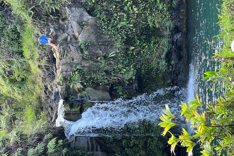 From Lahaina, Maui: Road to Hana Tour