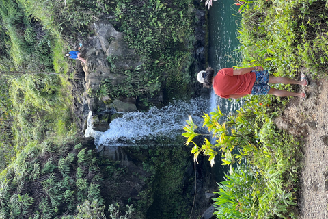 From Lahaina, Maui: Road to Hana Tour