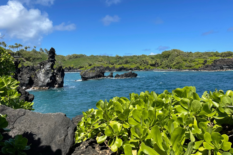 From Lahaina, Maui: Road to Hana Tour