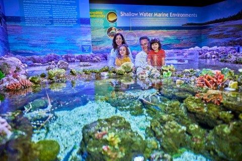 Cairns: Vor der Eröffnung geführte Tour durch das Cairns Aquarium
