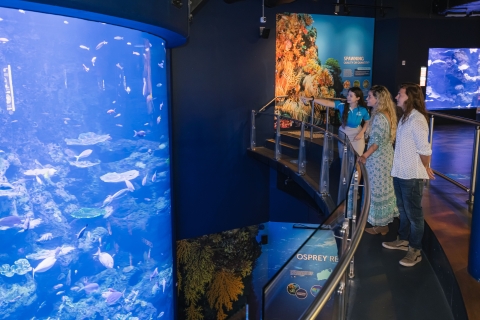 Cairns: pre-opening rondleiding door het Cairns Aquarium