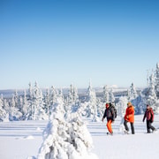Bakvattnet: Schneeschuhtour Ansättenfjäll