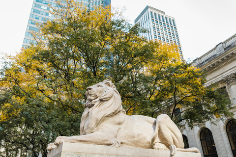 NOVA IORQUE: A excursão a pé dos super-heróis de Nova IorqueTour particular: A excursão a pé dos super-heróis de Nova Iorque