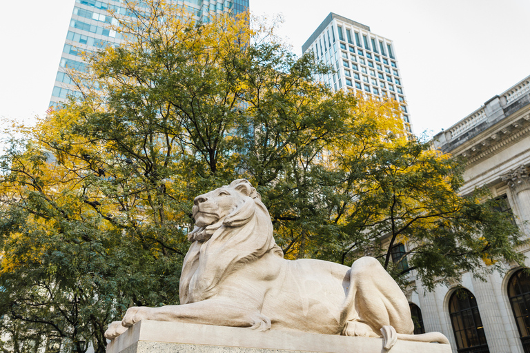 NOVA IORQUE: A excursão a pé dos super-heróis de Nova IorqueTour particular: A excursão a pé dos super-heróis de Nova Iorque