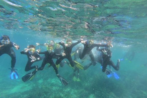 From L'Estartit: Medes Islands Guided Snorkeling Trip