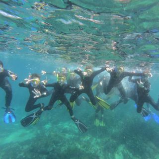 Van L'Estartit: begeleide snorkeltrip Medes-eilanden