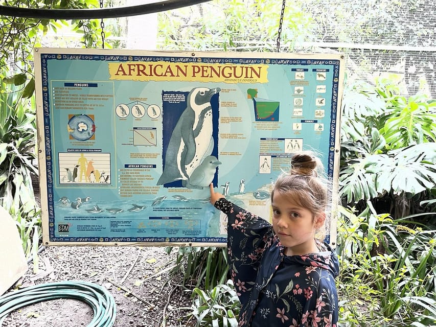 Cape Town: World of Birds & Animal Sanctuary | GetYourGuide