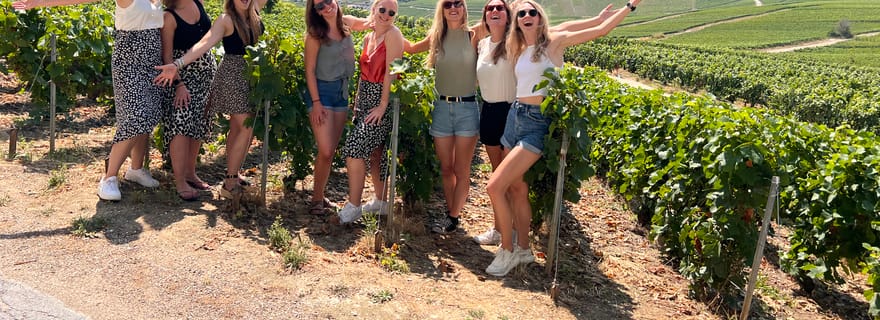 Reims/Epernay : Excursion d'une journée en Champagne avec dégustations