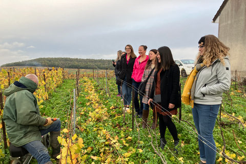 Reims/Epernay : excursion privée d'une journée en Champagne avec dégustationsPrix individuel