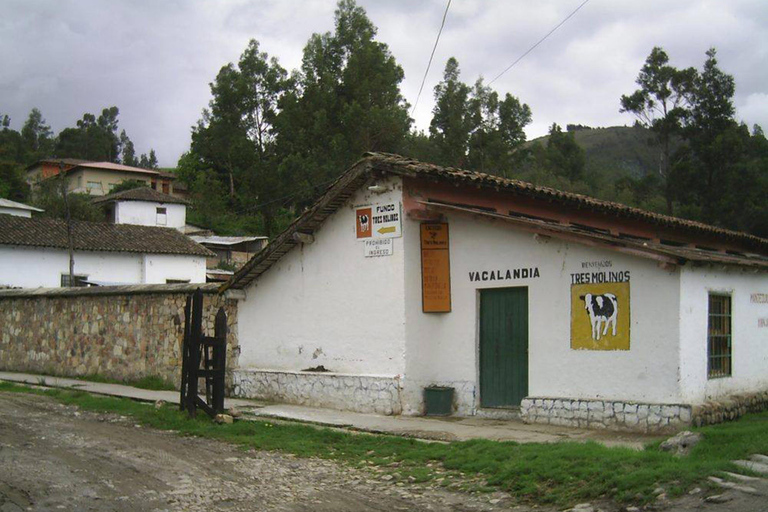 Wycieczka do Ventanillas of Otuzco i farmy Tres Molinos