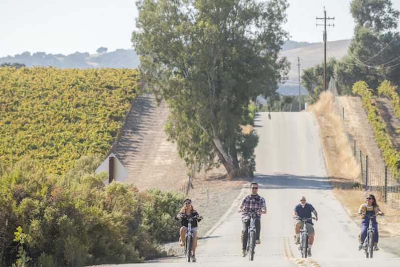 paso robles wine bike tours