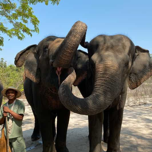 Siem Reap: Kulen Elephant Forest & Tonlesap Lake | GetYourGuide