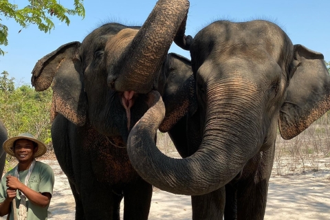 Siem Reap: Kulen Elephant Forest & Phnom Kulen National Park
