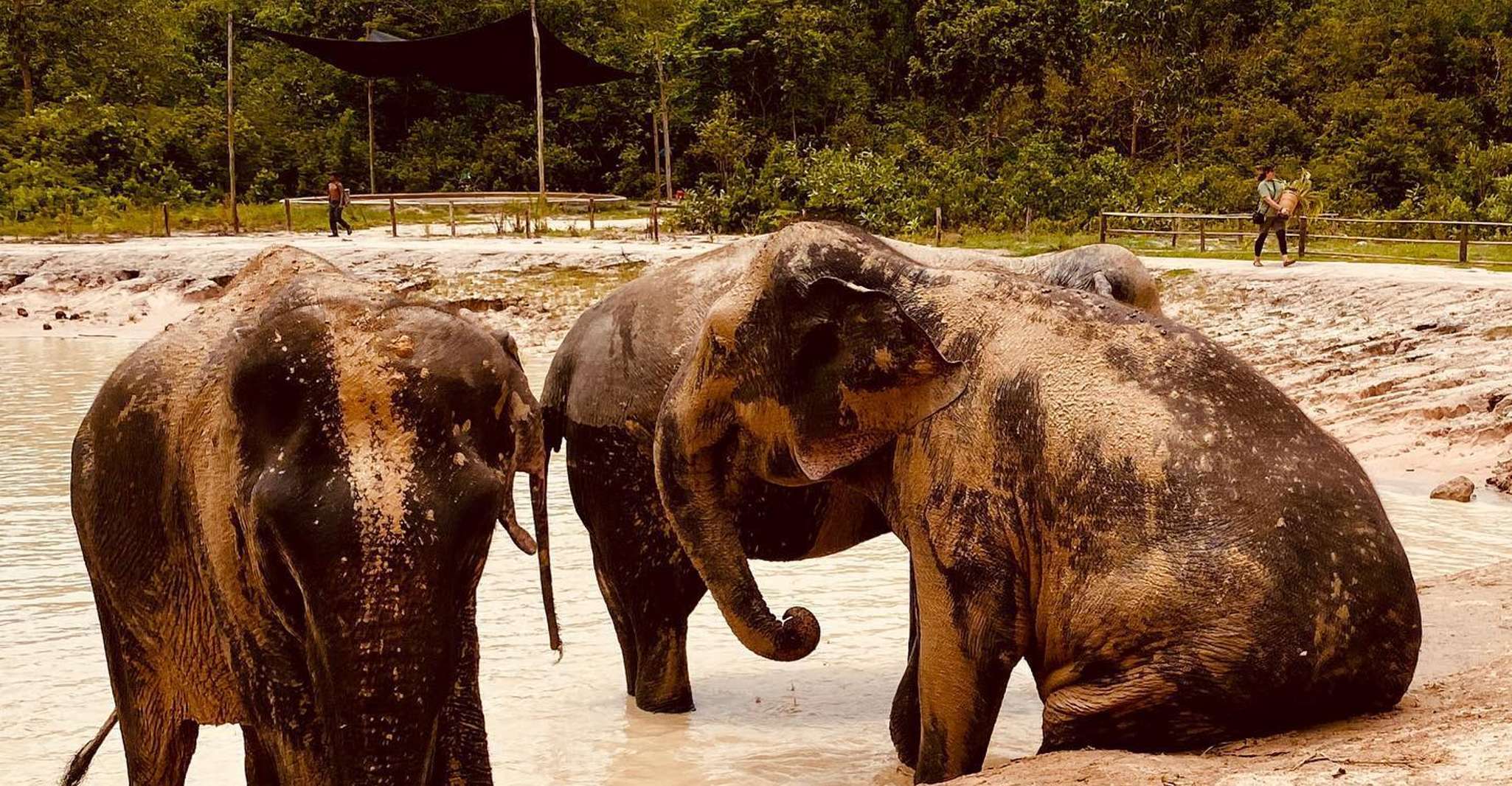 Siem Reap, Kulen Elephant Forest & Tonlesap Lake - Housity