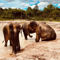 Siem Reap, Kulen Elephant Forest & Tonlesap Lake - Housity
