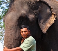Siem Reap, Kulen Elephant Forest & Tonlesap Lake - Housity