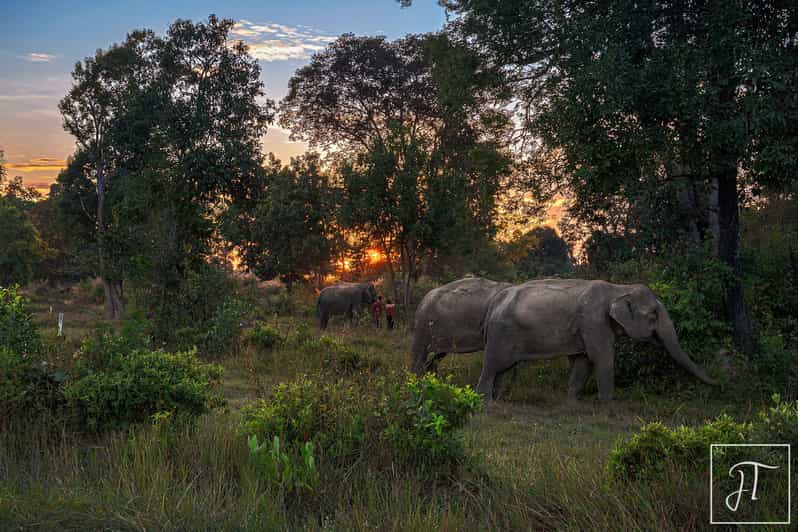 Siem Reap: Kulen Elephant Forest & Tonlesap Lake | GetYourGuide