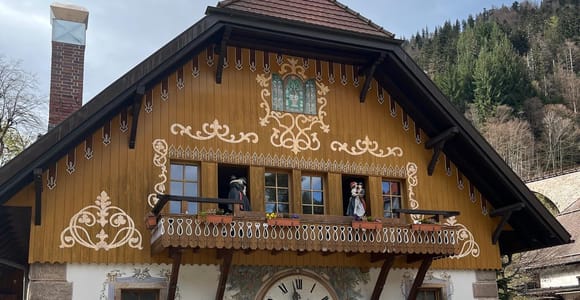 Basel: Schwarzwald, Wasserfall & Berge, Seen – private Tour