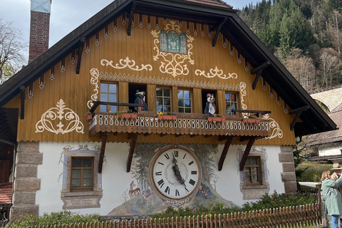 Vanuit Bazel: privé-excursie naar het Zwarte Woud, watervallen en meren