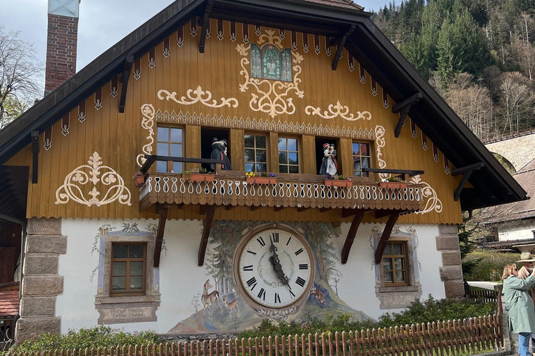 Vanuit Bazel: privé-excursie naar het Zwarte Woud, watervallen en meren