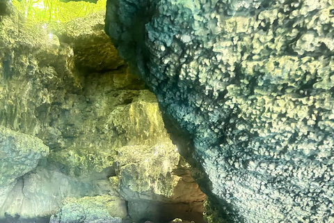 Turtles & Hidden caves: The ultimate Moso Island Adventure