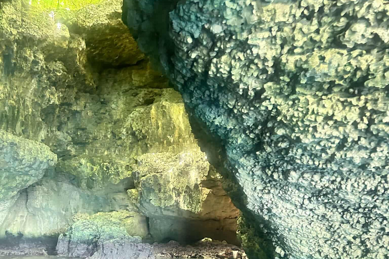 Turtles & Hidden caves: The ultimate Moso Island Adventure