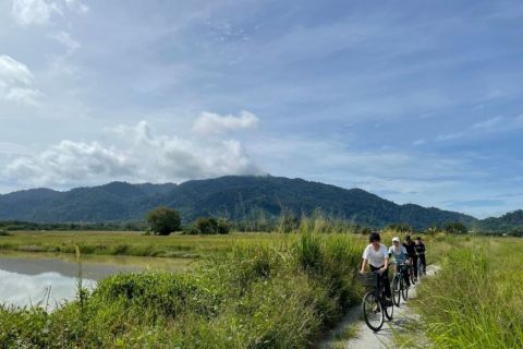 In bicicletta in campagna a Langkawi