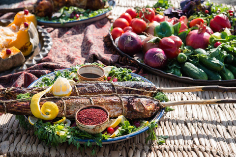 Baku: Southern Azerbaijan Hot Springs and Nature Tour 1-Day Lankaran Hot Springs Tour – Standard (No Meals)