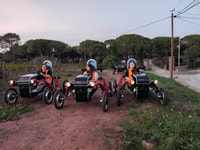 Frejus, Esterel Mountains Swincar Tour - Hizvo