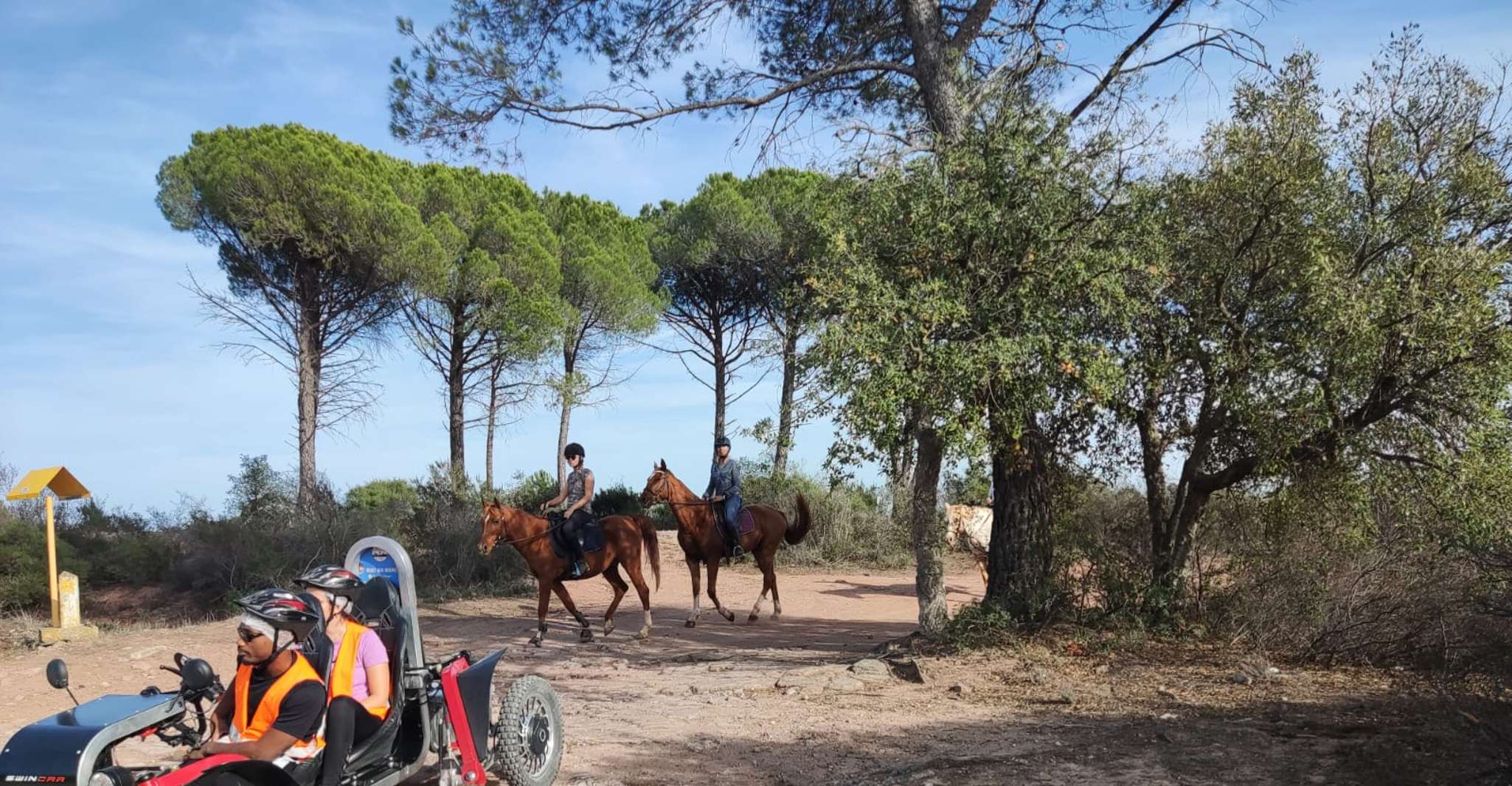 Frejus, Esterel Mountains Swincar Tour - Hizvo