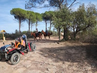 Frejus, Esterel Mountains Swincar Tour - Hizvo